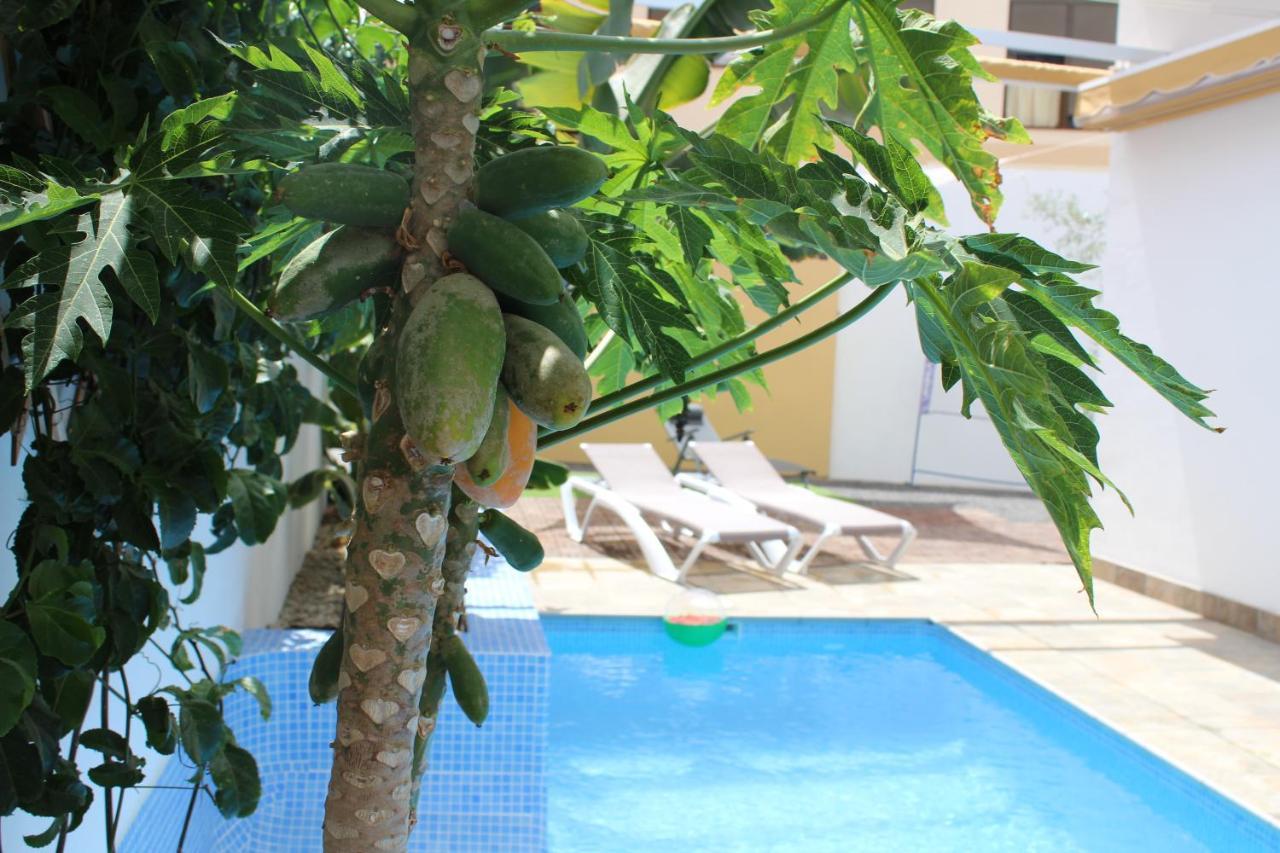 Casa El Olivo, Tenerife Valle de San Lorenzo Εξωτερικό φωτογραφία