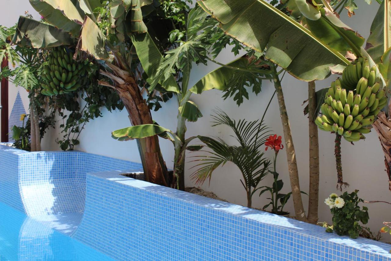 Casa El Olivo, Tenerife Valle de San Lorenzo Εξωτερικό φωτογραφία