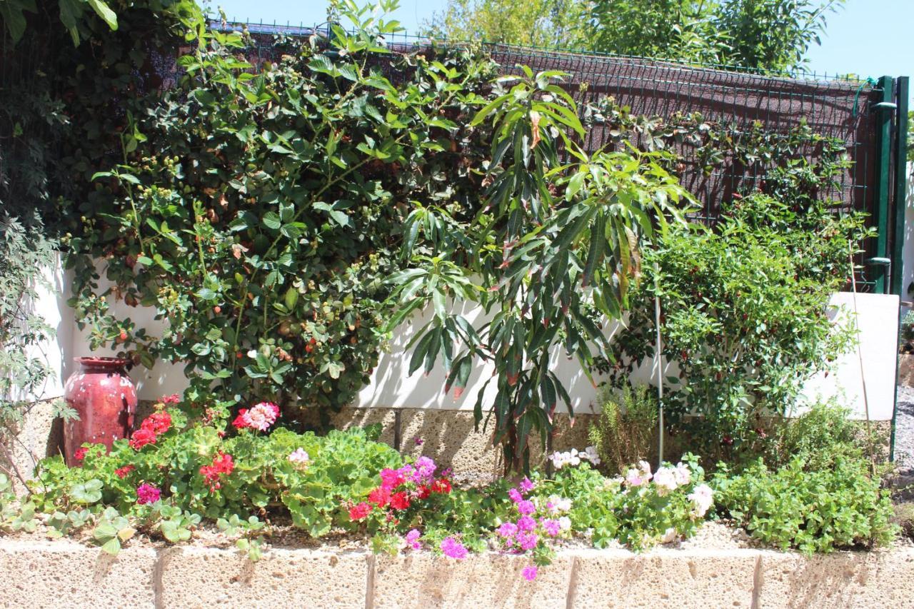 Casa El Olivo, Tenerife Valle de San Lorenzo Εξωτερικό φωτογραφία